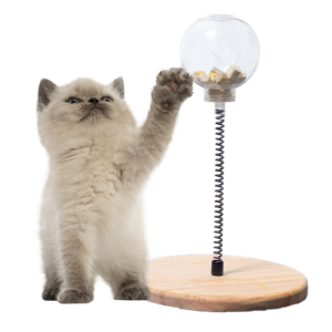 Treat Dispensing Toy