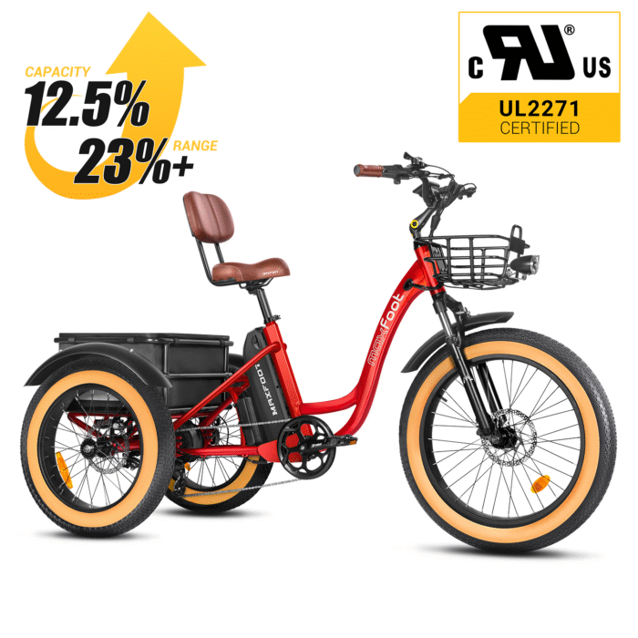 [750W] MF-30 Rear Drive Electric Trike Ver 2024 - Image 9